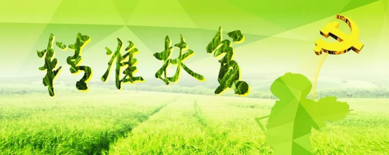 源碼助力來賓精準(zhǔn)扶貧，點(diǎn)亮新寨村幸福之路