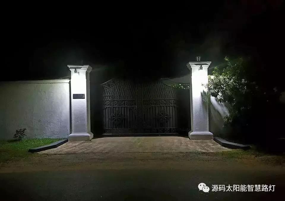 總統、發展局主席齊齊發聲，源碼火遍這個國家