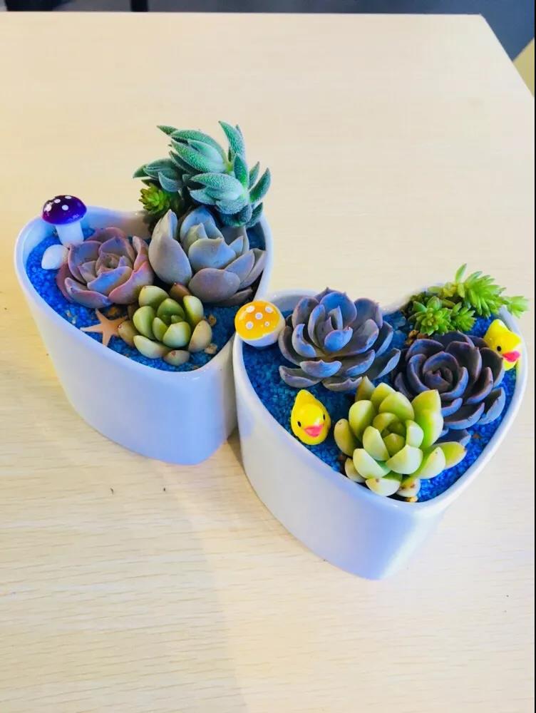 女神節快樂 | 女神節就要玩出不一樣……