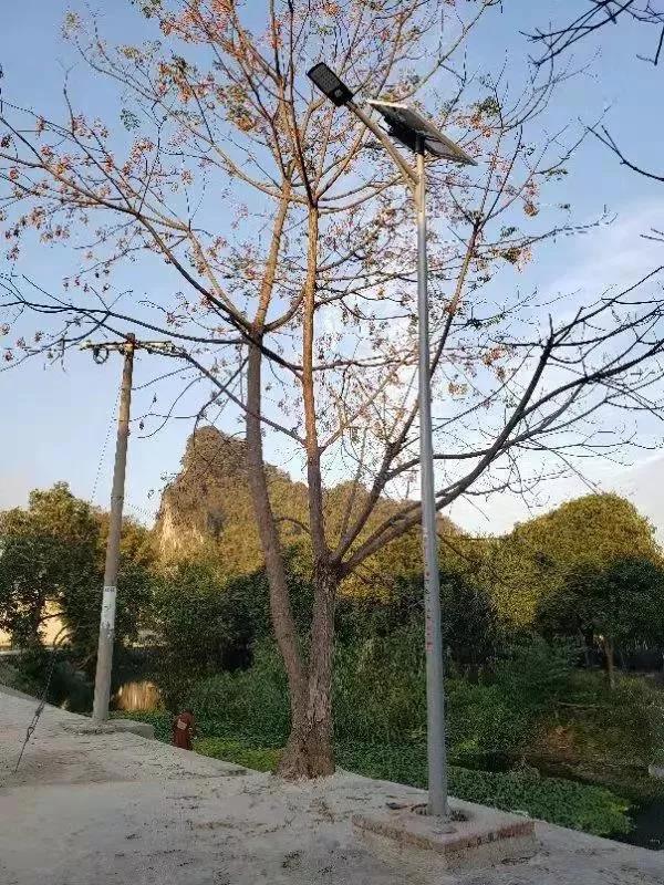 照亮農(nóng)村幸福路！源碼攜手建設(shè)柳州“村屯光亮工程