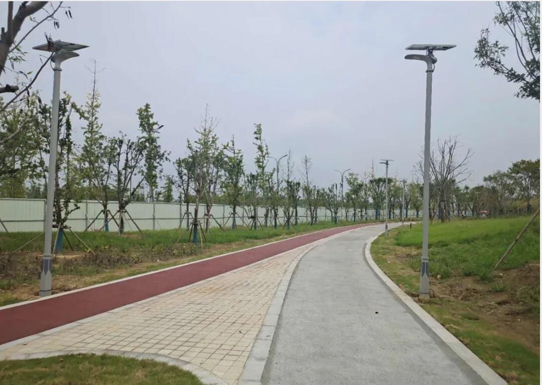 晴空排云雁高飛，源碼項目掀熱潮