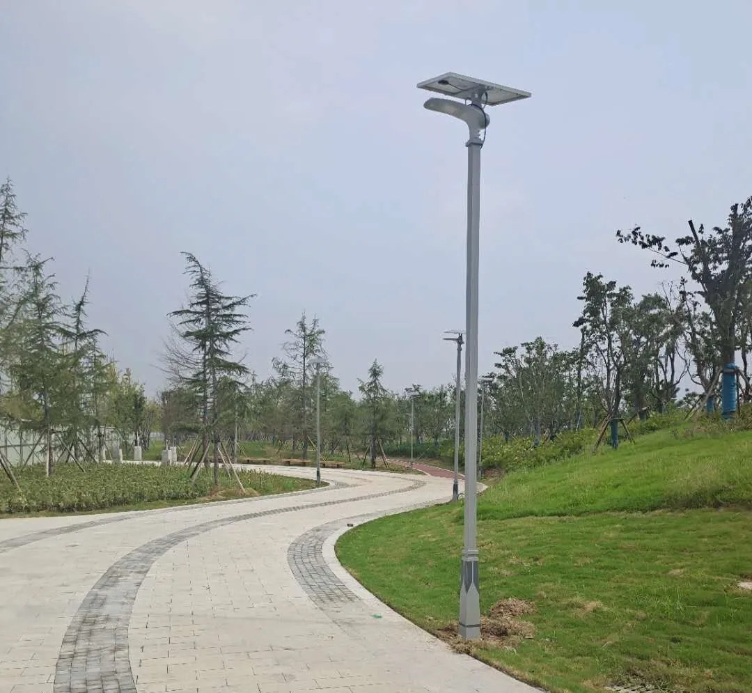 晴空排云雁高飛，源碼項目掀熱潮