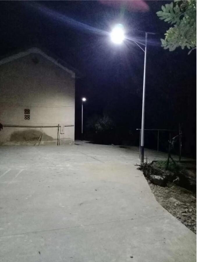 晴空排云雁高飛，源碼項目掀熱潮