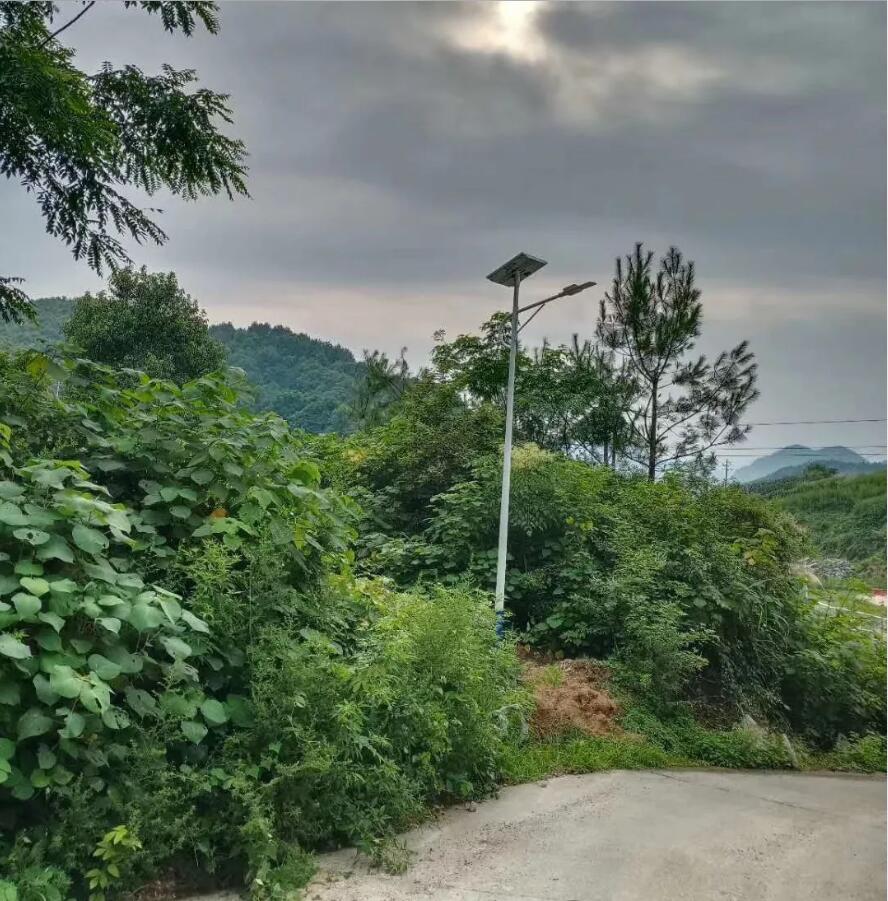 晴空排云雁高飛，源碼項目掀熱潮