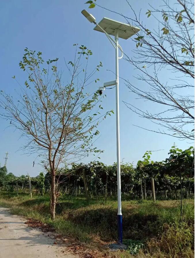 晴空排云雁高飛，源碼項目掀熱潮