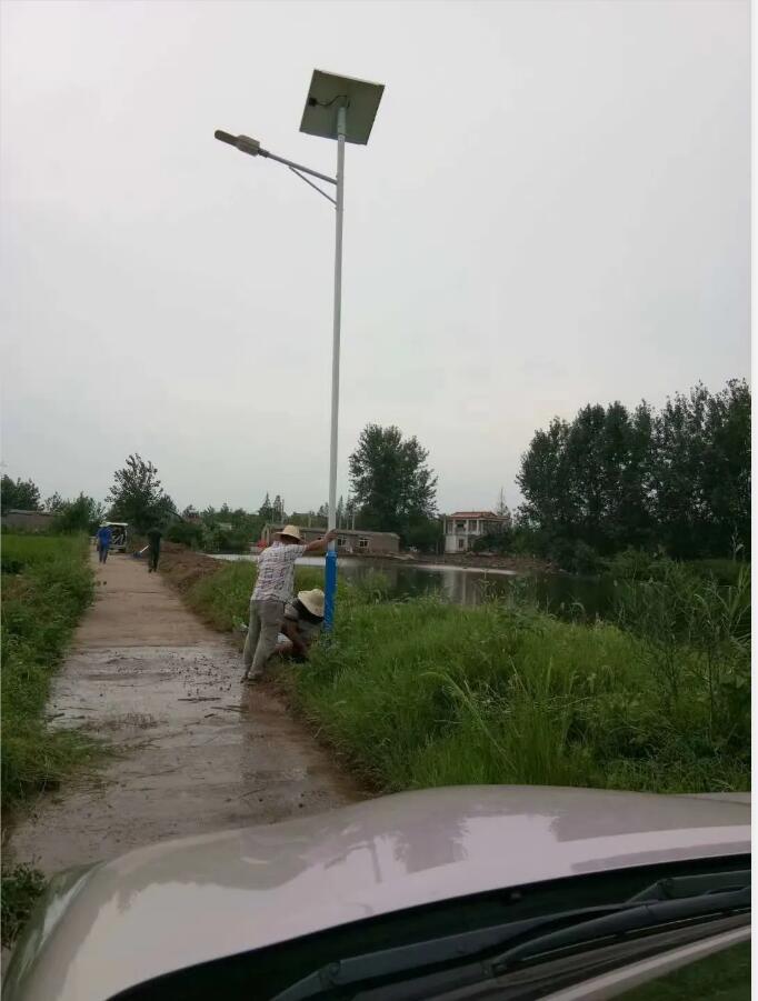 晴空排云雁高飛，源碼項目掀熱潮