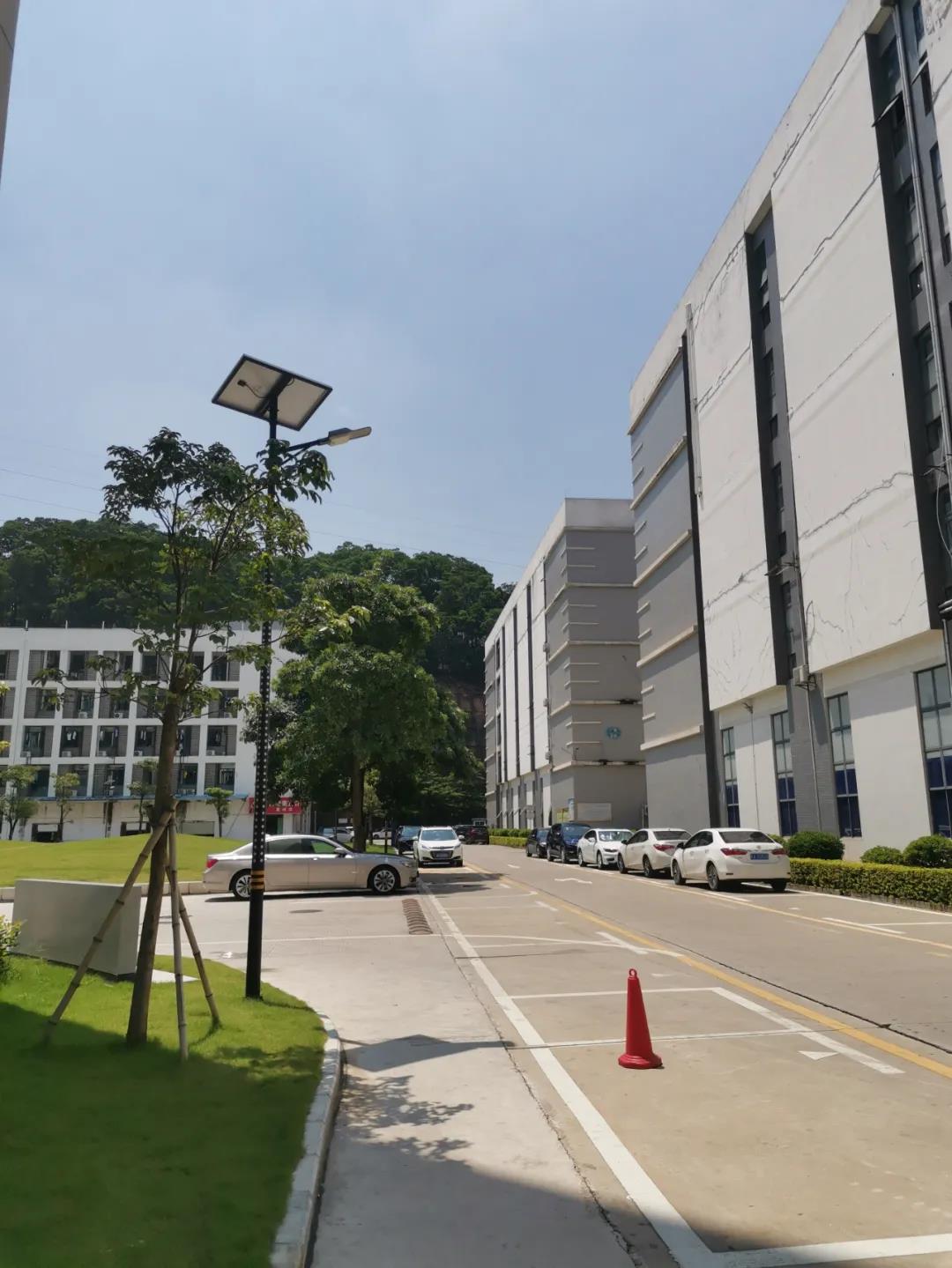 案例賞析〡云雁高飛，助力鄉村振興