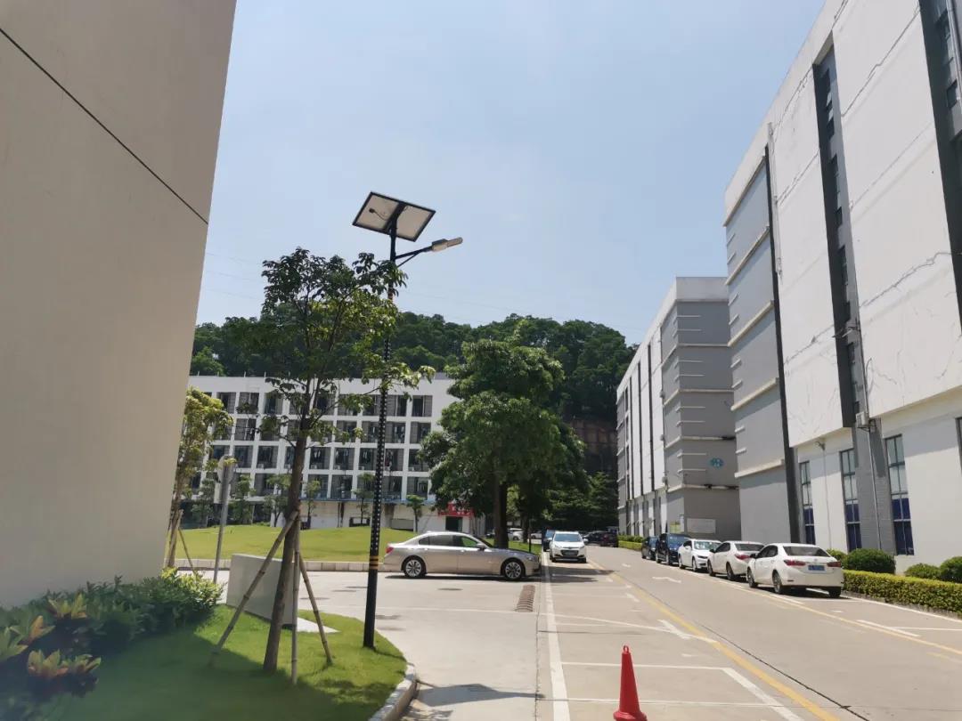 案例賞析〡云雁高飛，助力鄉村振興