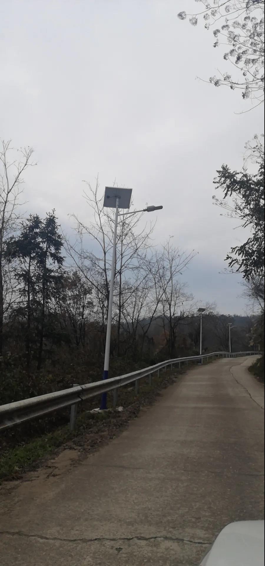 案例賞析〡云雁高飛，助力鄉村振興