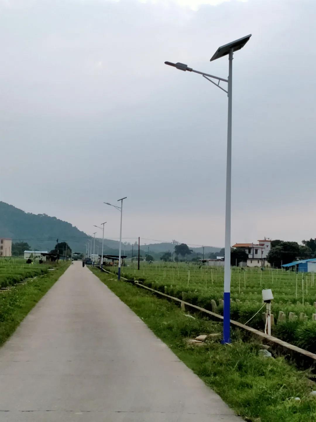 案例賞析〡云雁高飛，助力鄉村振興