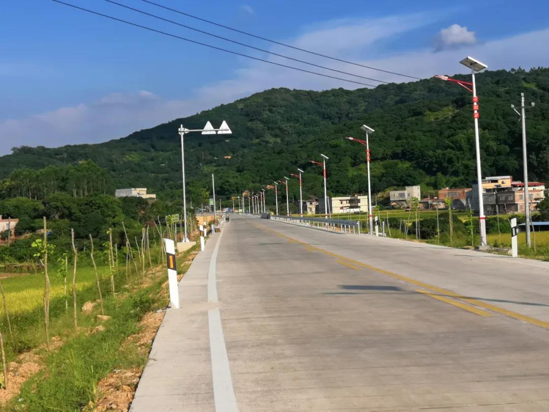 案例賞析〡云雁高飛，助力鄉村振興